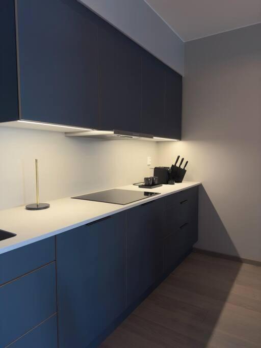 Appartement Moderne 3 Roms I Oslobukta!